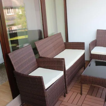 Mohnwiese Und Blumenwiese Willingen (Upland)