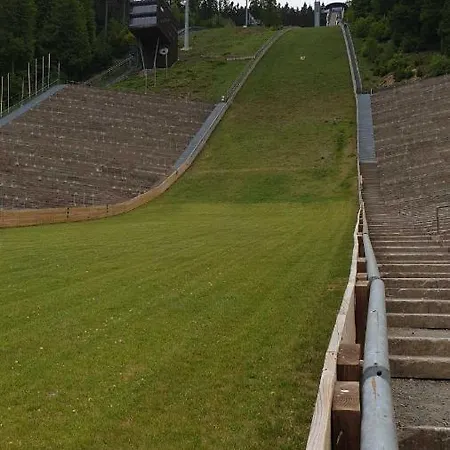 Mohnwiese Und Blumenwiese *