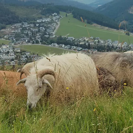 Apartamento Mohnwiese Und Blumenwiese *