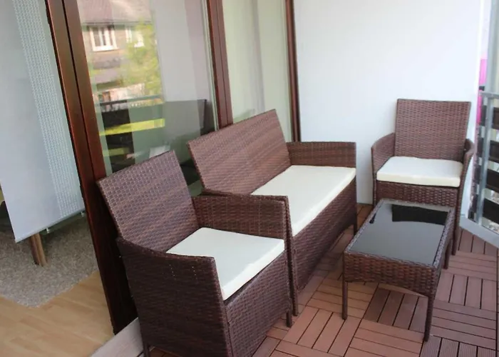 Mohnwiese Und Blumenwiese Willingen (Upland)