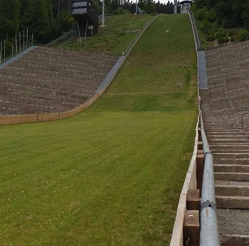 Mohnwiese Und Blumenwiese *