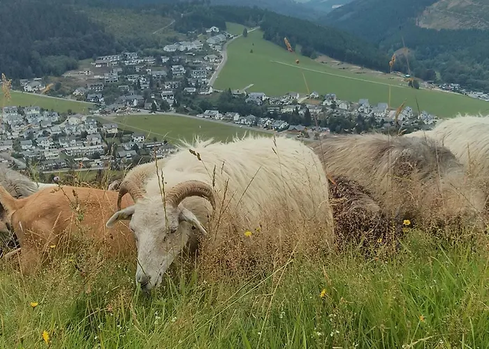 Lägenhet Mohnwiese Und Blumenwiese *
