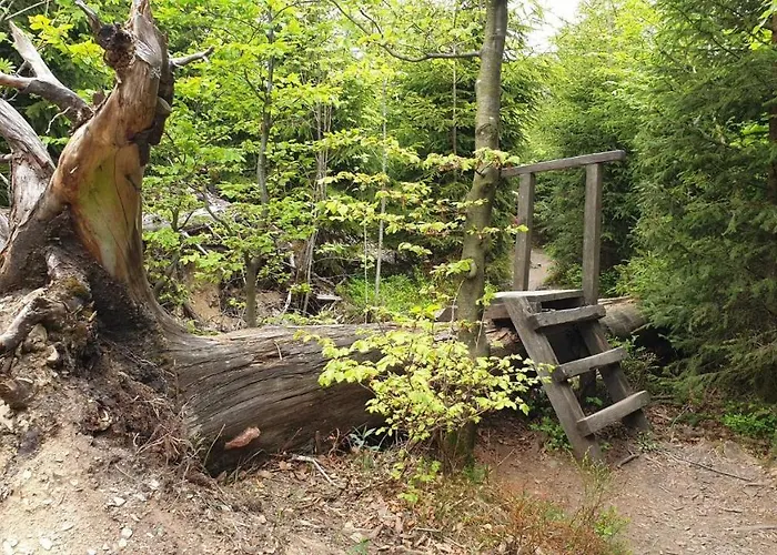 Mohnwiese Und Blumenwiese Lägenhet *