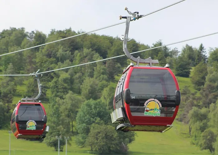 Apartment Mohnwiese Und Blumenwiese Willingen (Upland)